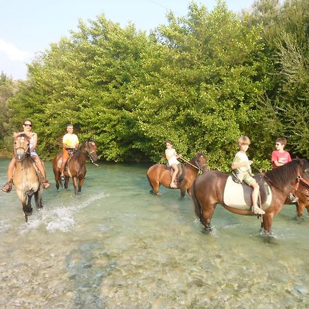 Ionio Gastronomy Suites Ammoudia Dış mekan fotoğraf