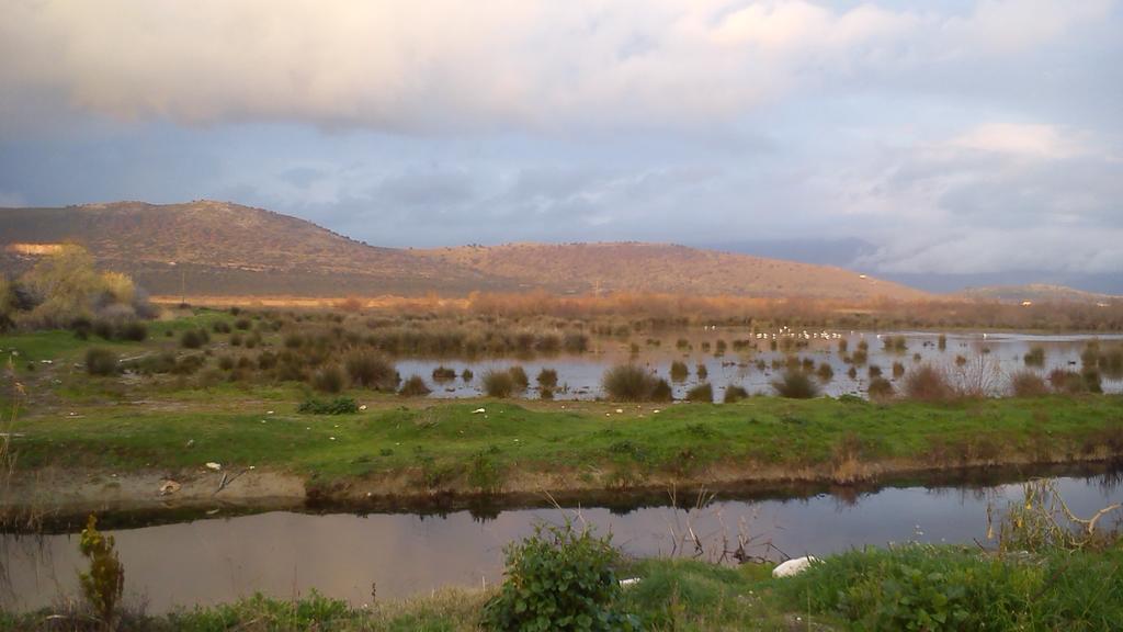Ionio Gastronomy Suites Ammoudia Dış mekan fotoğraf