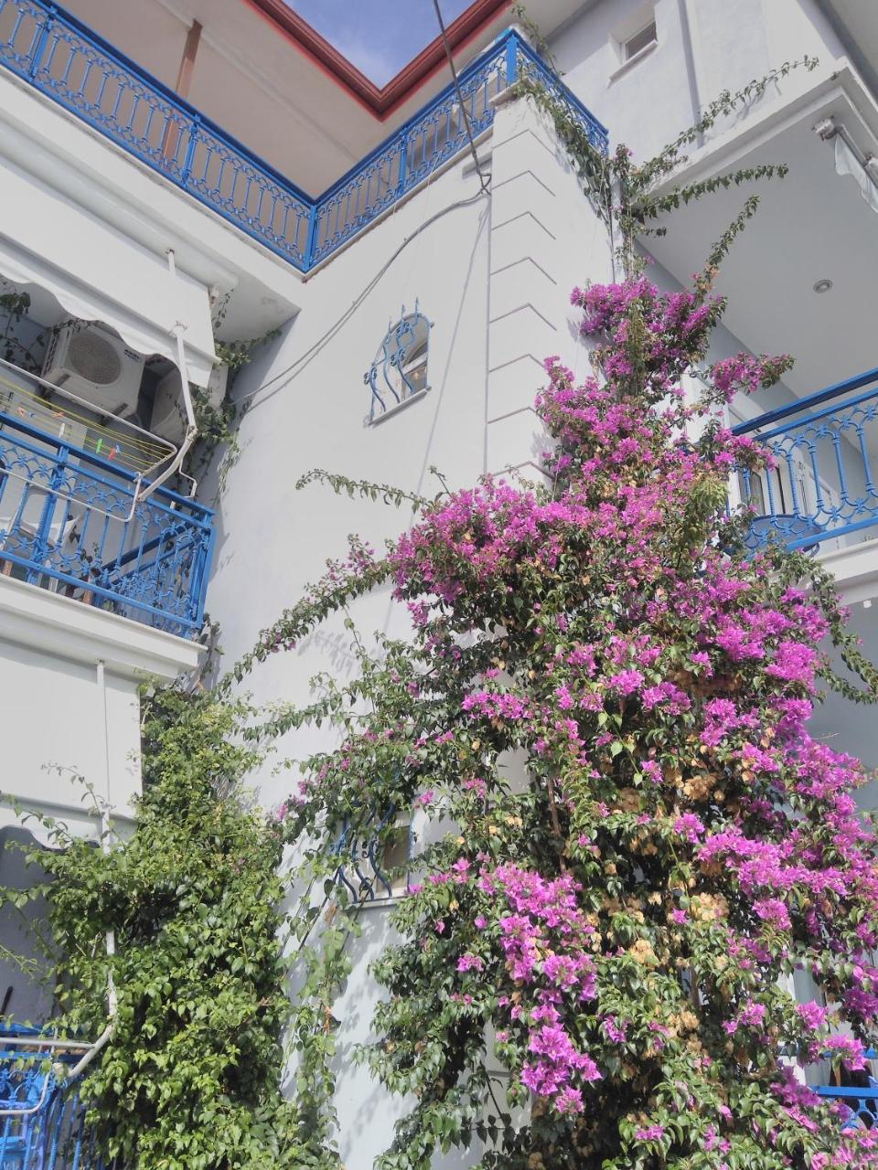 Ionio Gastronomy Suites Ammoudia Dış mekan fotoğraf